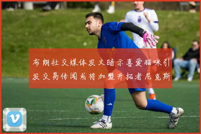 布朗社交媒体发文暗示喜爱猫咪引发交易传闻或将加盟开拓者尼克斯雷霆湖人